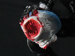 �T���j�̊�