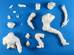 ���F�h�S�j�A�p�[�c�ꗗ